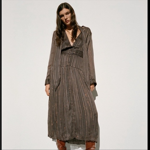 Zara Dresses & Skirts - NWT Zara Metallic MIDI Dress with Belt Size Small